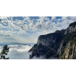 MYSTIC MONTSERRAT
